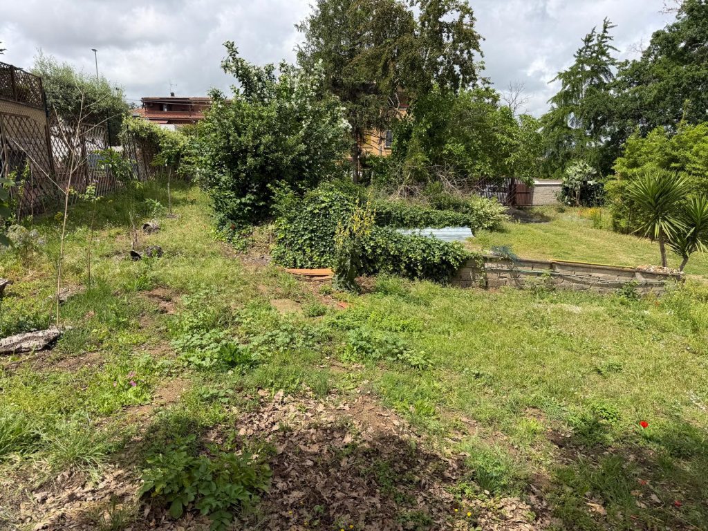 VIA GIULIO LUSI – TERRENO - Foto 1