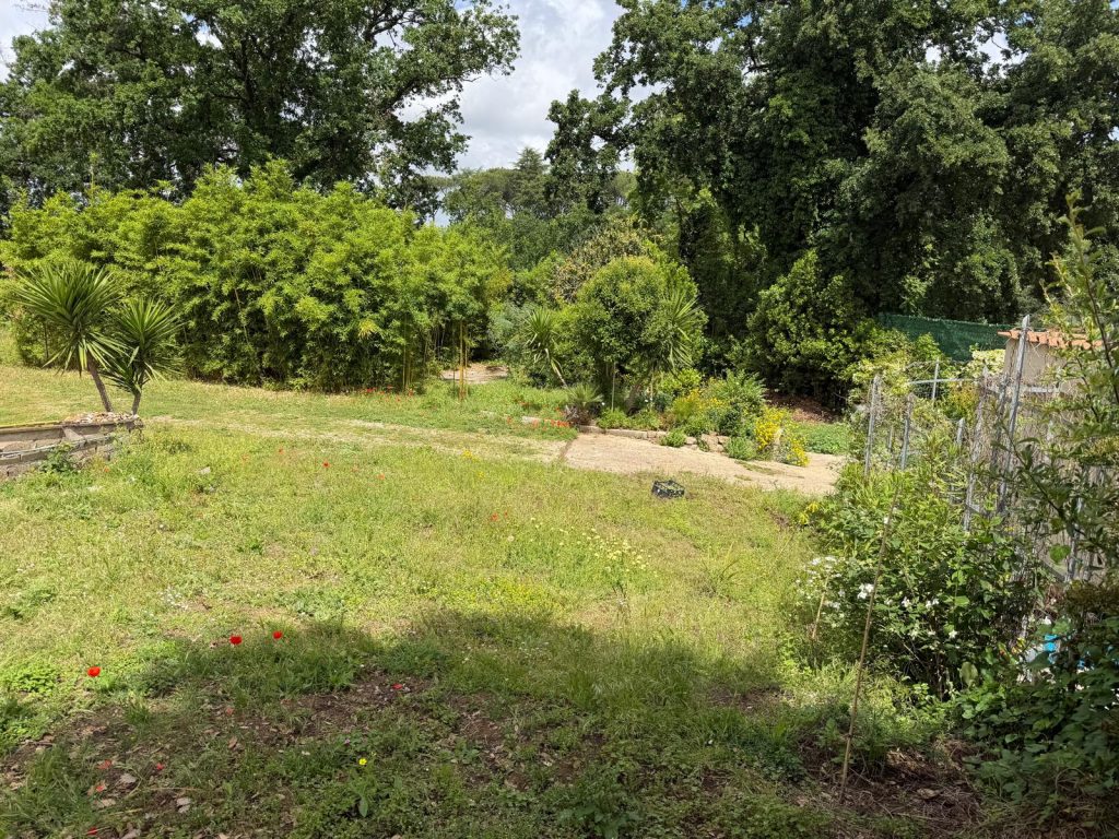 VIA GIULIO LUSI – TERRENO - Foto 2