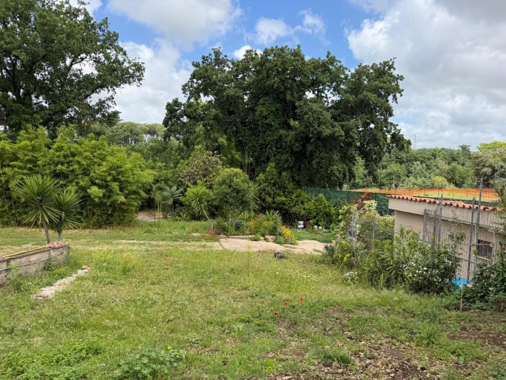 VIA GIULIO LUSI – TERRENO - Foto 10