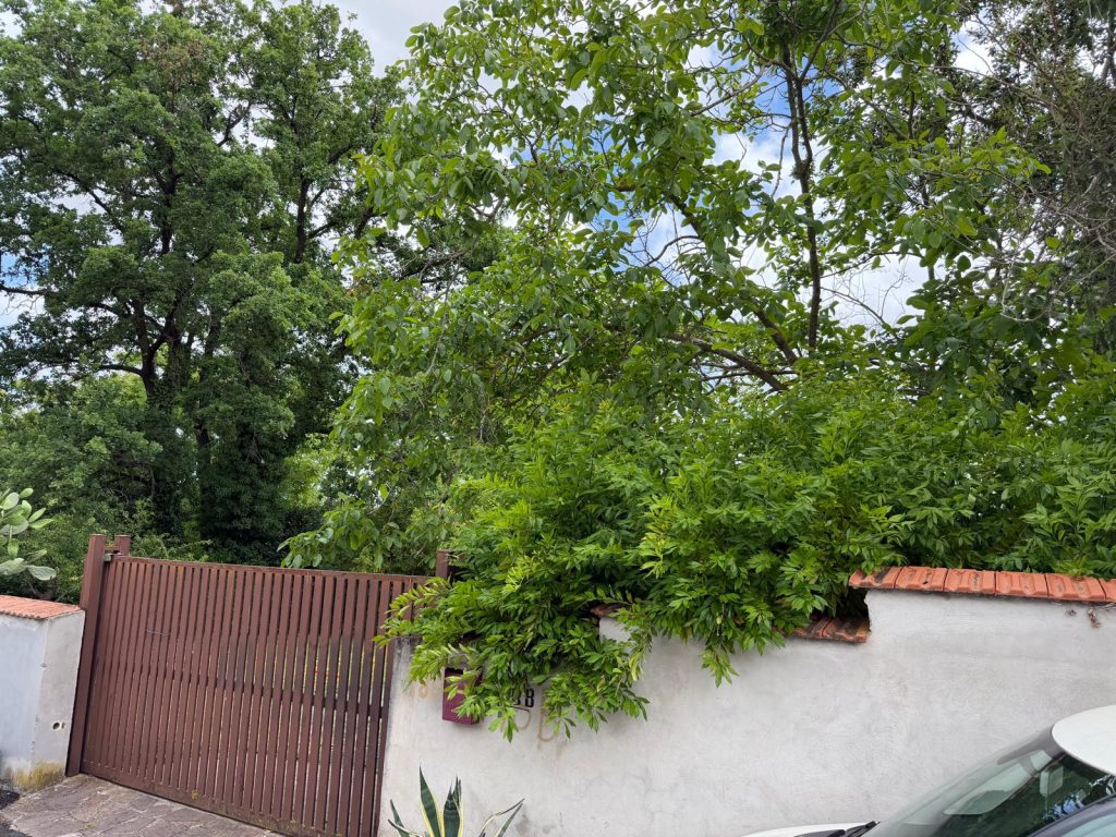 VIA GIULIO LUSI – TERRENO - Foto 9